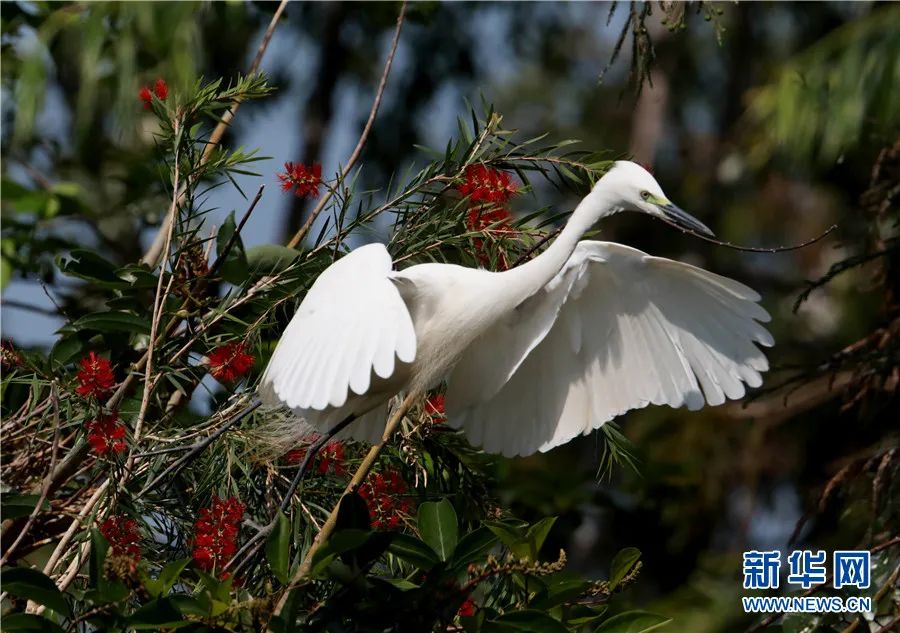 云南广播电视台(微信)