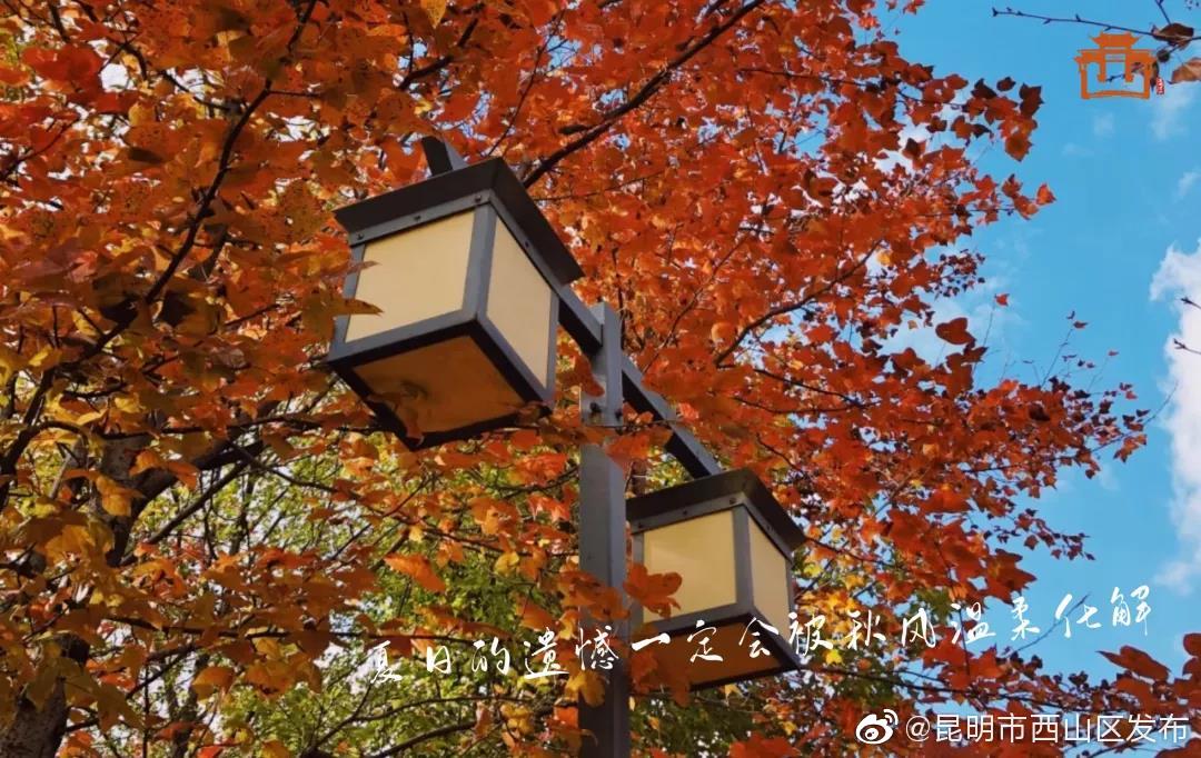 “昆明市西山区发布”微博