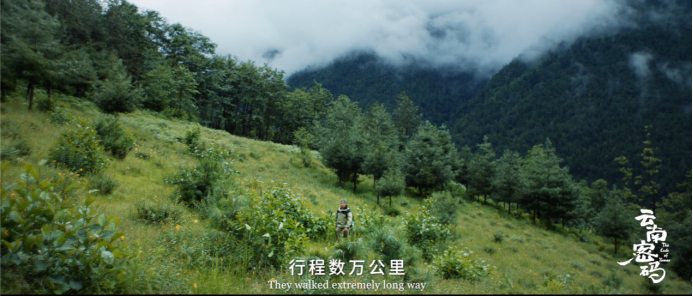 玉溪发布(微信)
