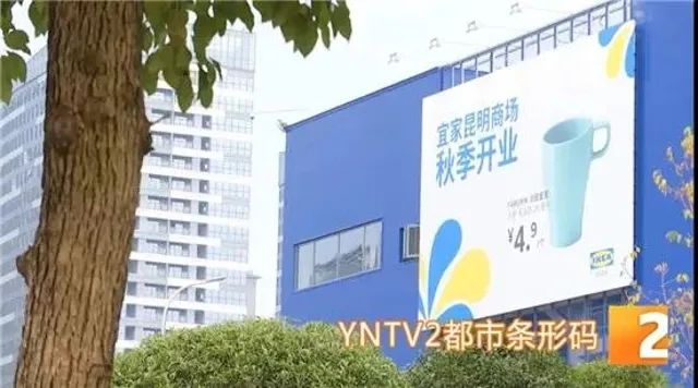 春城晚报(微信)