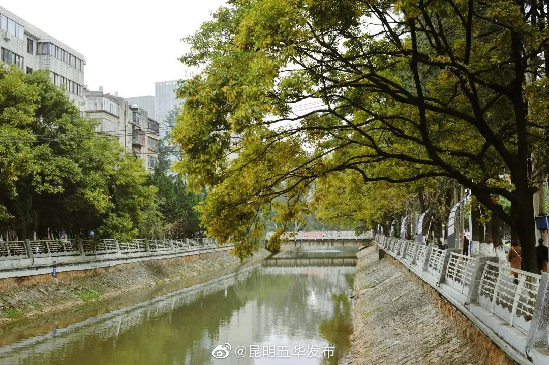 “昆明五华发布”微博