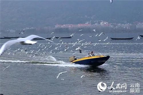 昆明发布(微信)