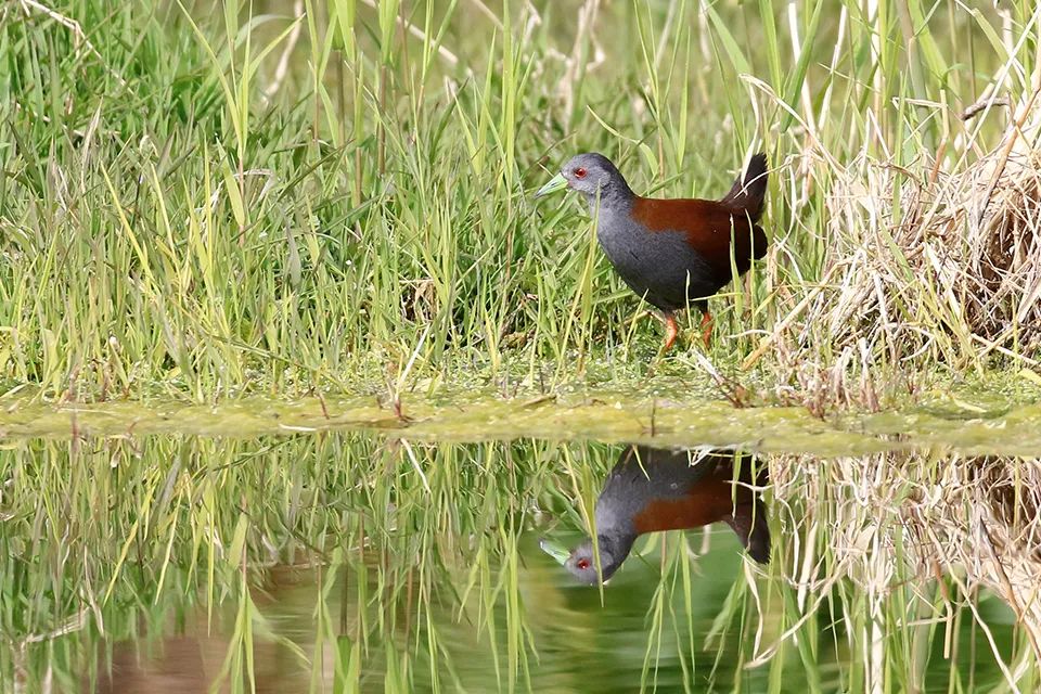 云南广播电视台(微信)