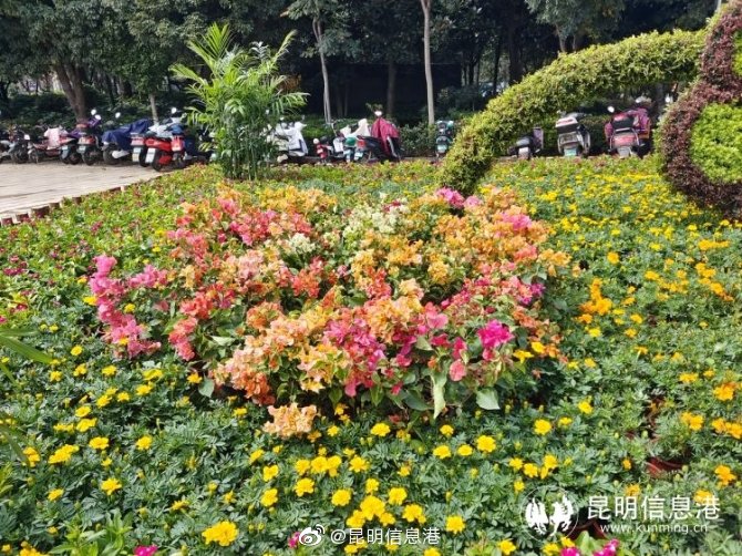 昆明信息港微博