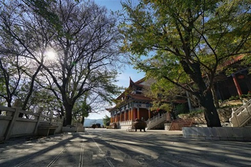 红河文旅(微信)