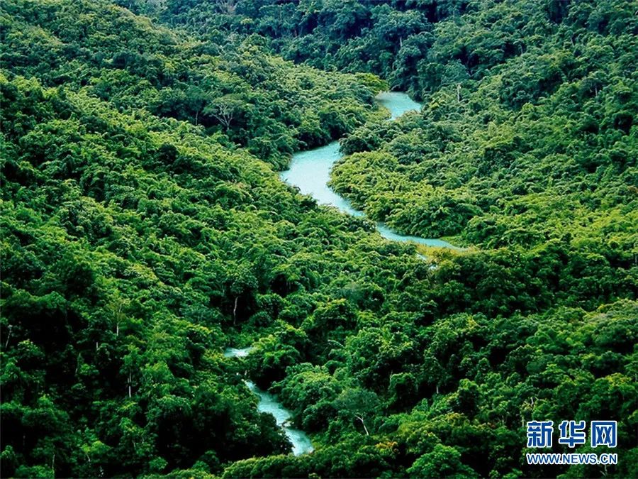 云南广播电视台(微信)