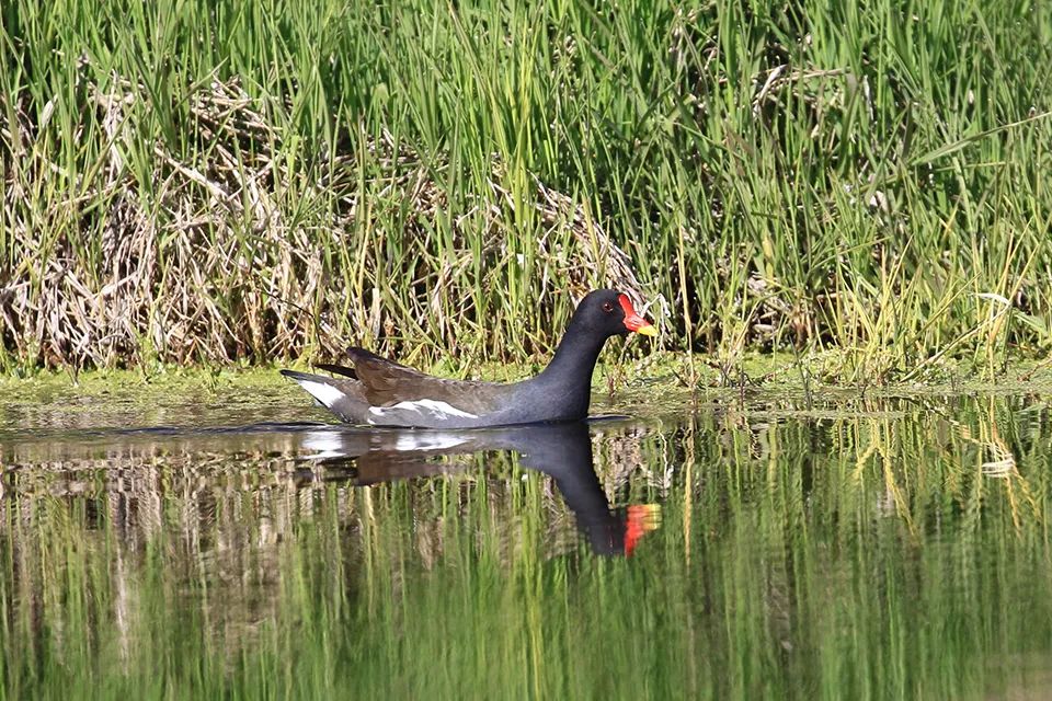云南广播电视台(微信)