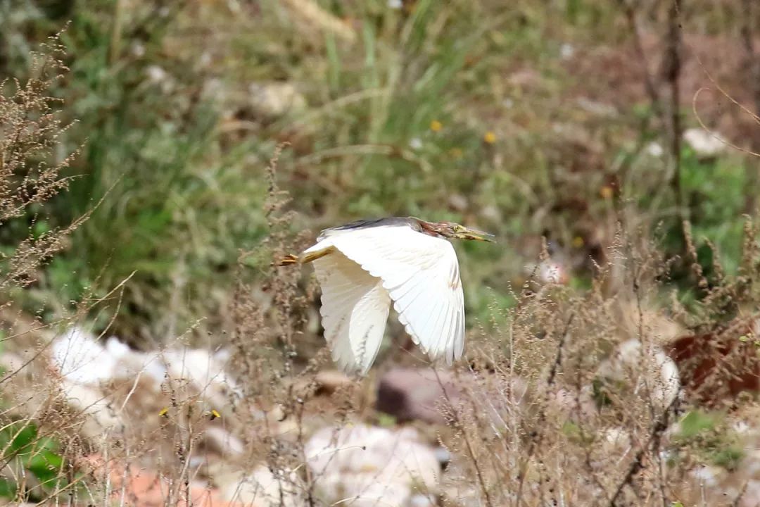 云南广播电视台(微信)