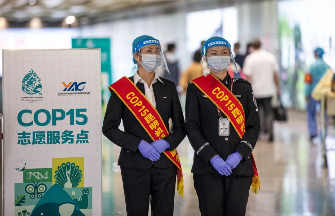 918云南交通台(微信)
