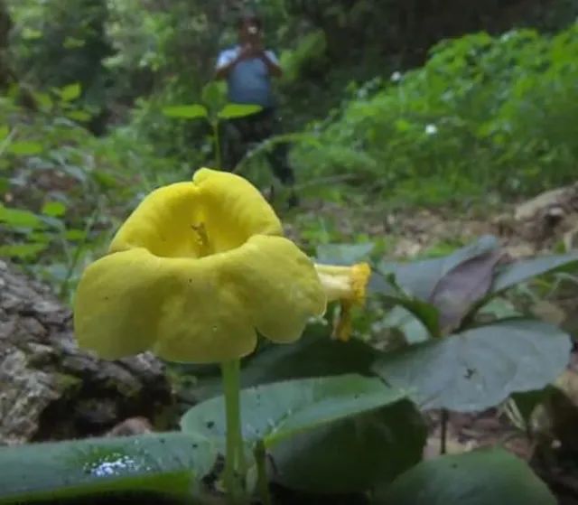 玉溪发布(微信)