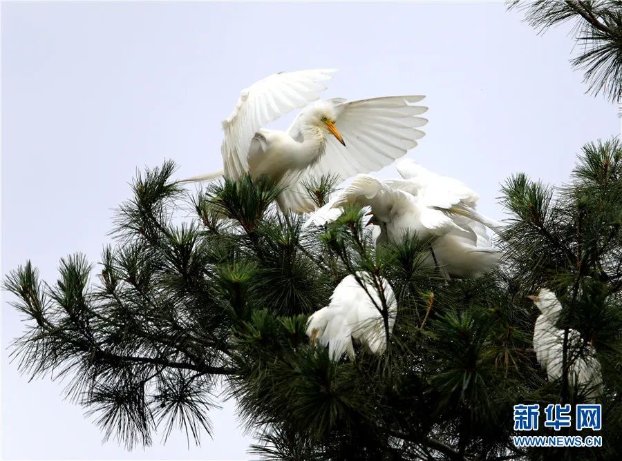 云南广播电视台(微信)