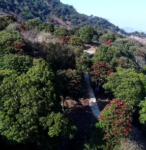 云南广播电视台(微信)