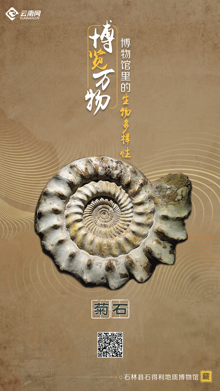 玉溪发布(微信)