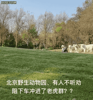 云南信息报(微信)
