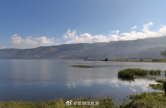 昆明信息港微博