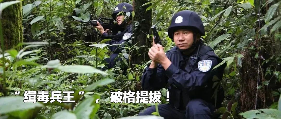 云南政法(微信)