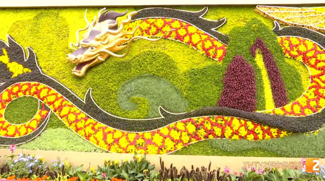 掌上春城(微信)