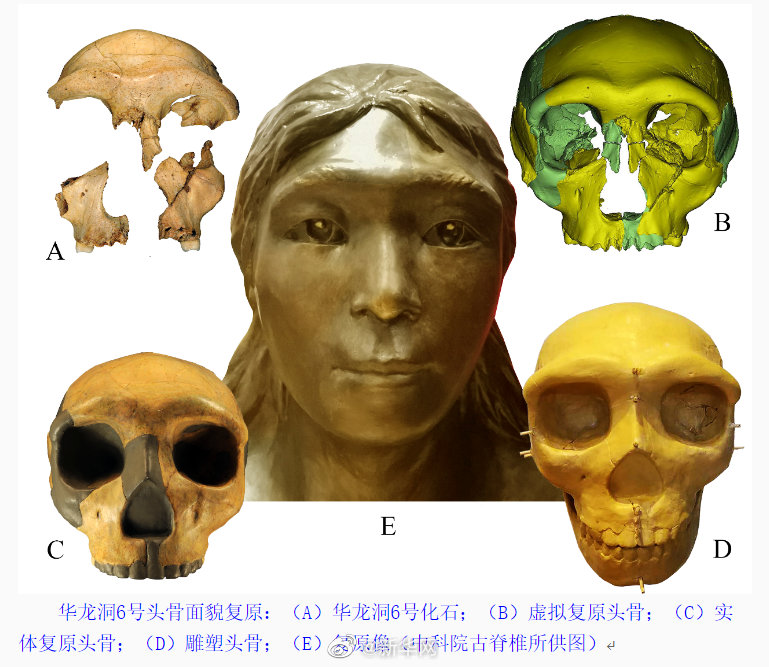 研究复原30万年前华龙洞人容貌 有丰富现代人特征