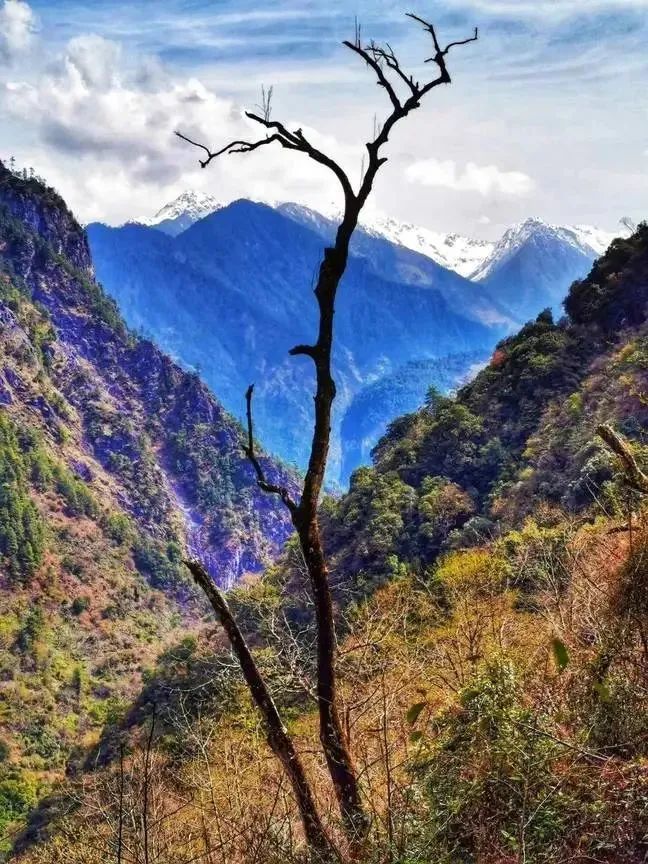 云南广播电视台(微信)