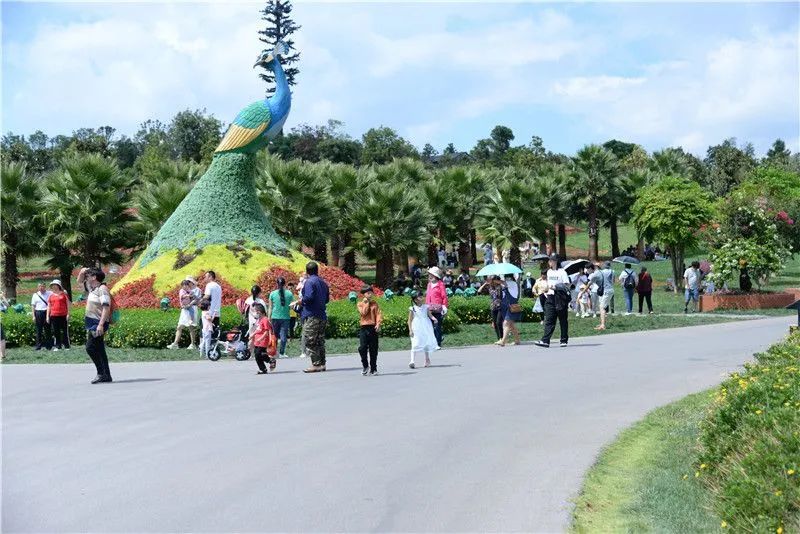 红河文旅(微信)
