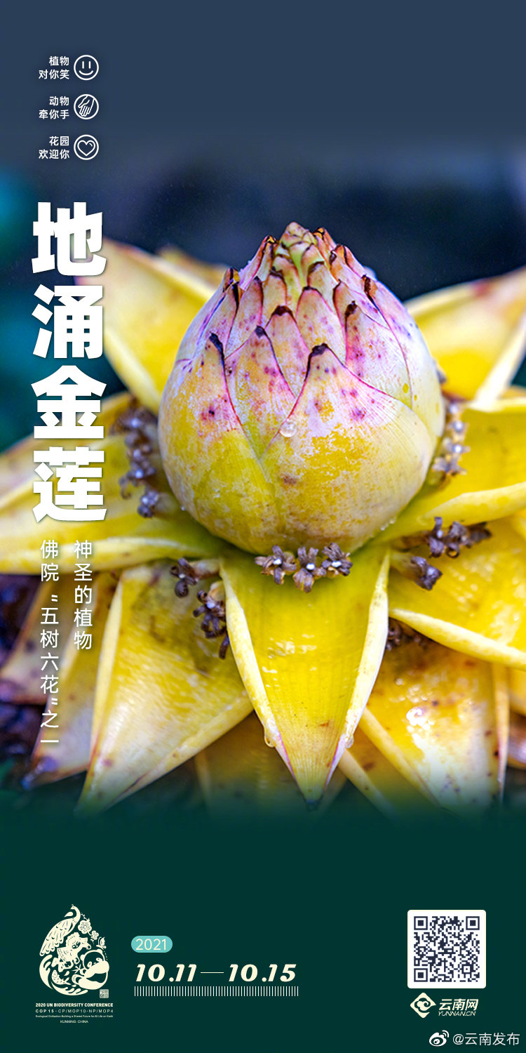 “云南发布”微博