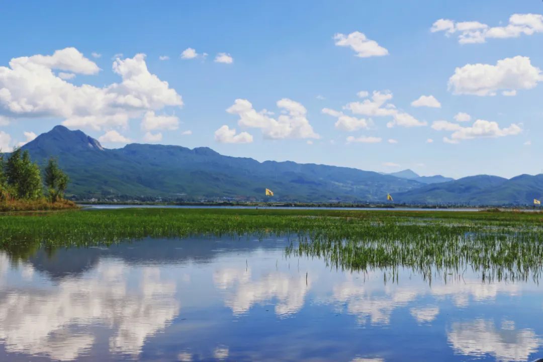 云南中医(微信)