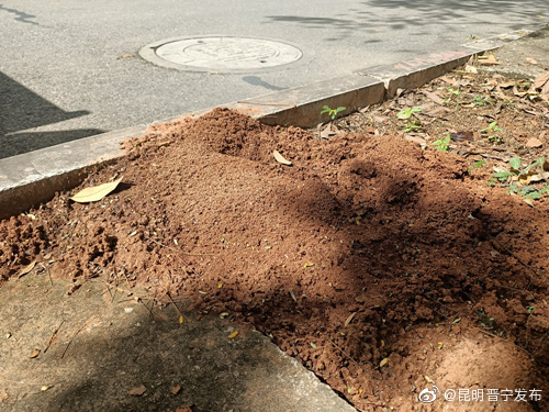 昆明晋宁发布