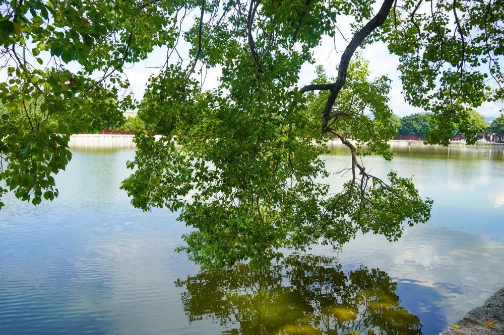 红河文旅(微信)