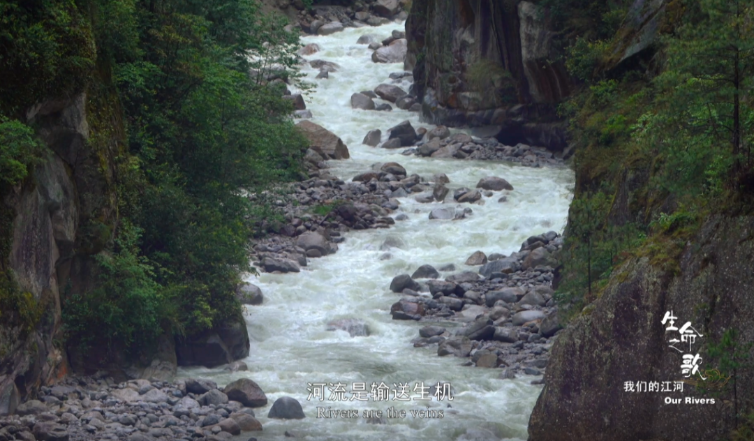 云南广播电视台(微信)