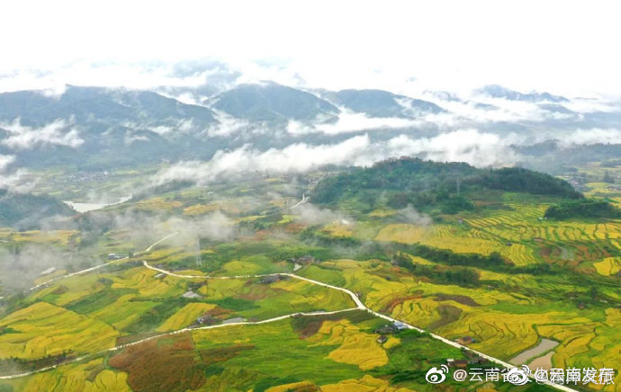 “云南发布”微博
