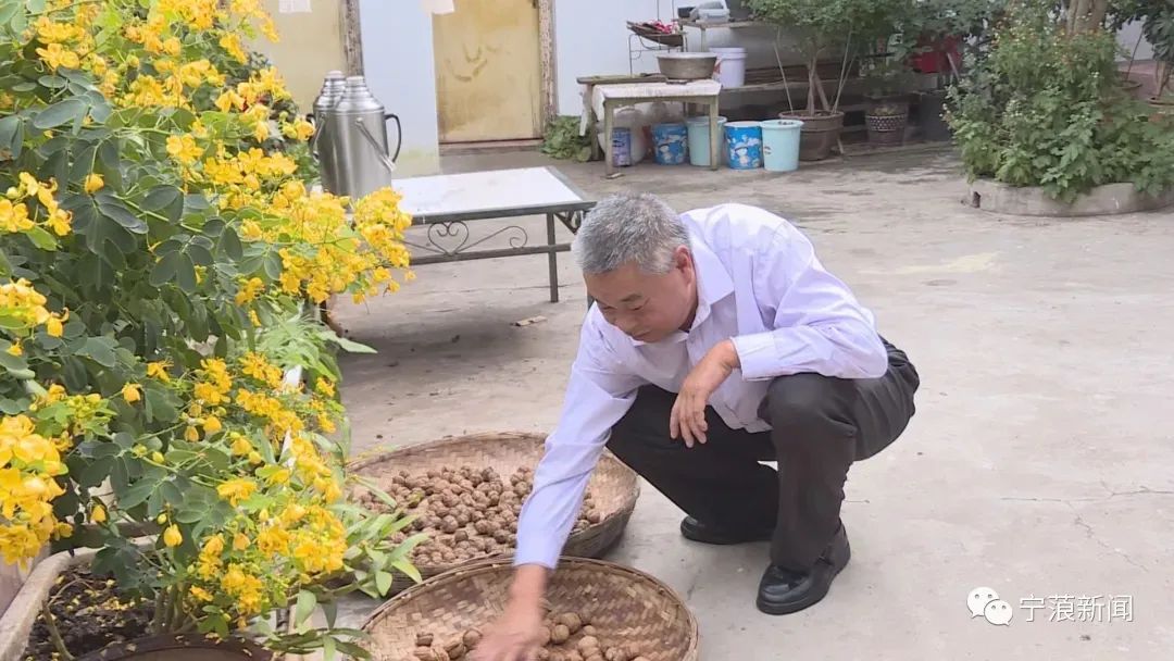 丽江日报(微信)