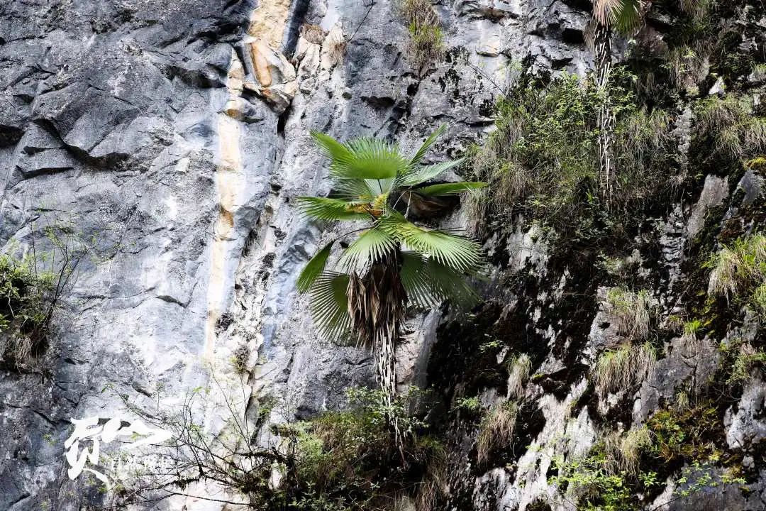 云南广播电视台(微信)