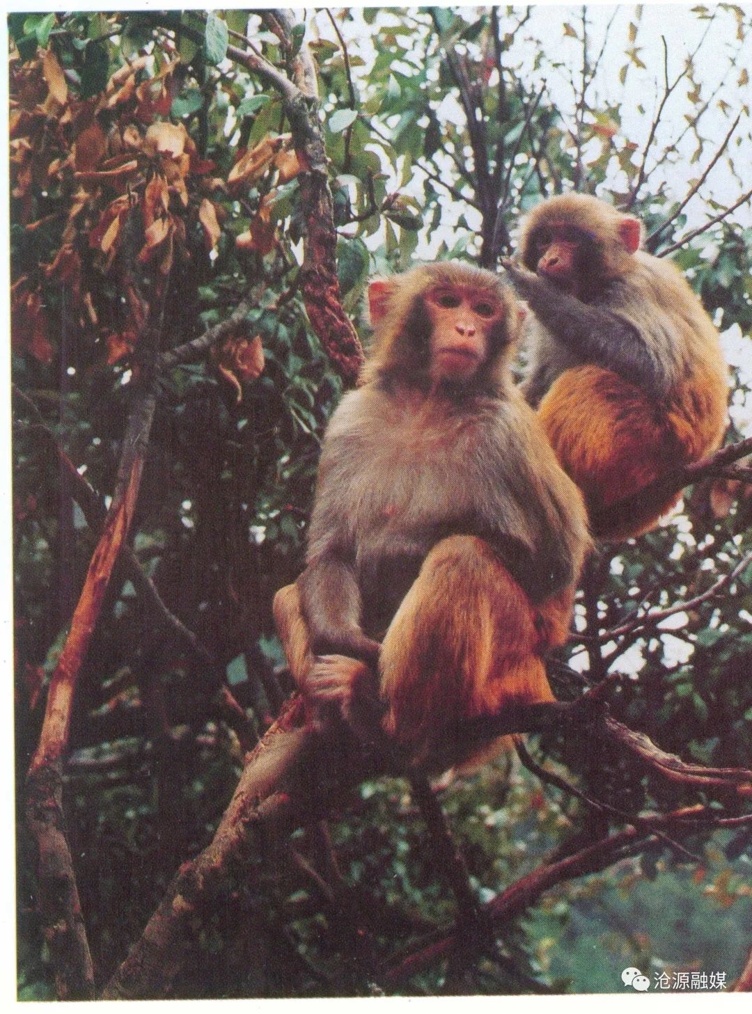 云南广播电视台(微信)