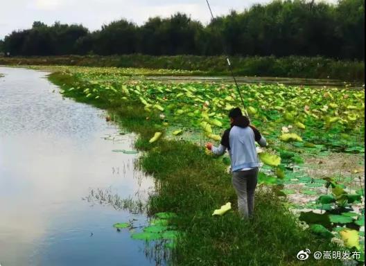 嵩明发布