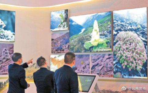 生物多样性保护的城市实践