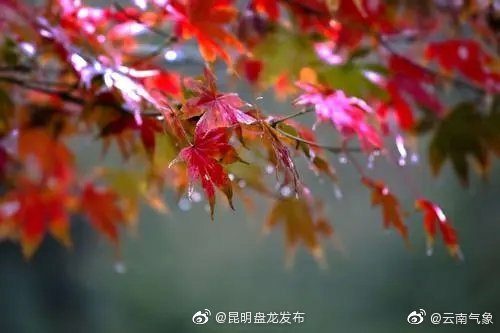 云南省未来24小时天气预报