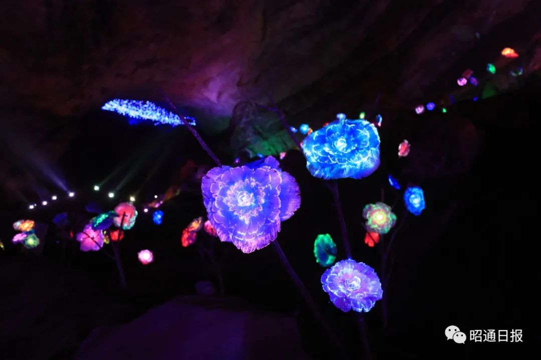 昭通日报(微信)