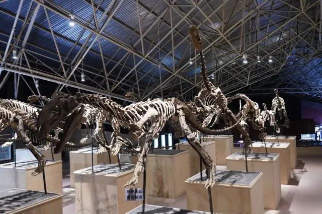 春城晚报(微信)