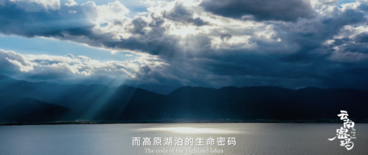 玉溪发布(微信)