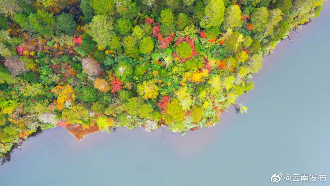 “云南发布”微博