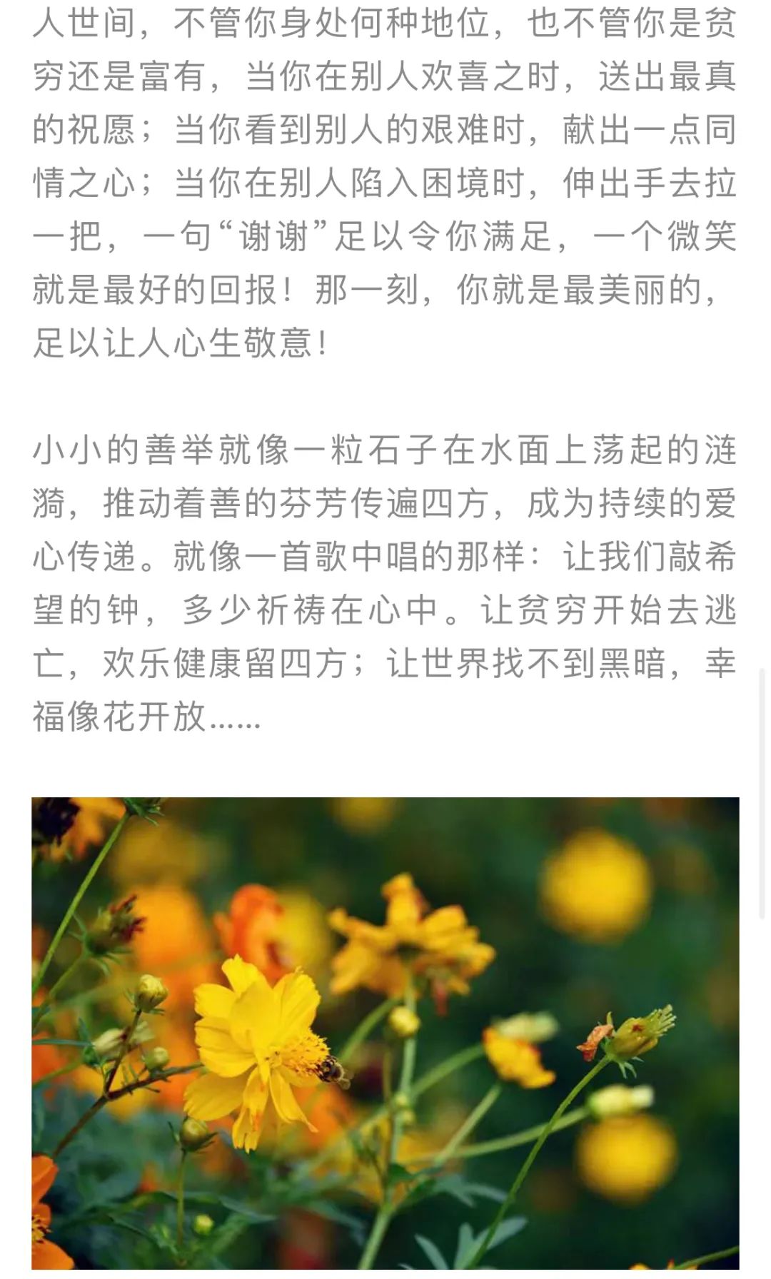 红色扎西(微信)