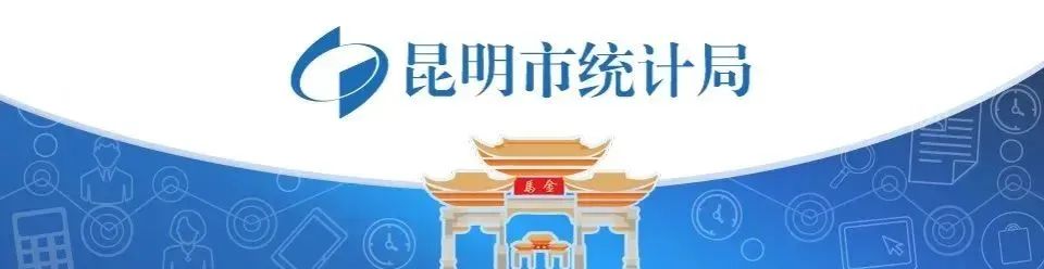 昆明统计(微信)