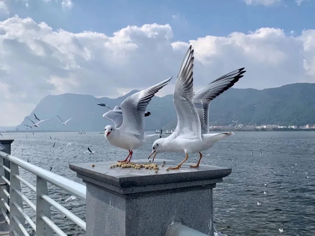 昆明铁路(微信)