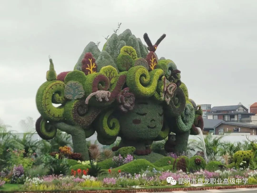 盘龙教育(微信)