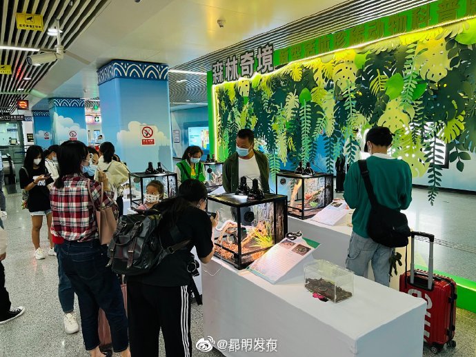 “昆明发布”微博