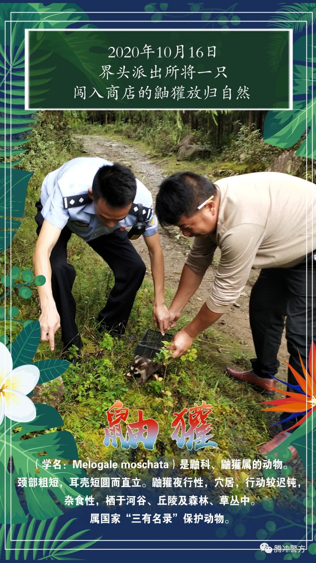 保山新闻网(微信)