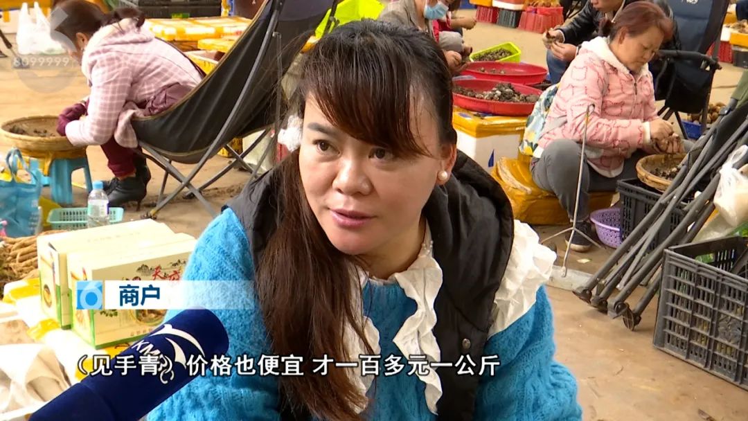 春城晚报(微信)