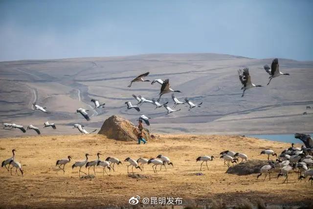 “昆明发布”微博
