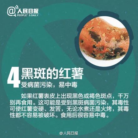 春城晚报(微信)