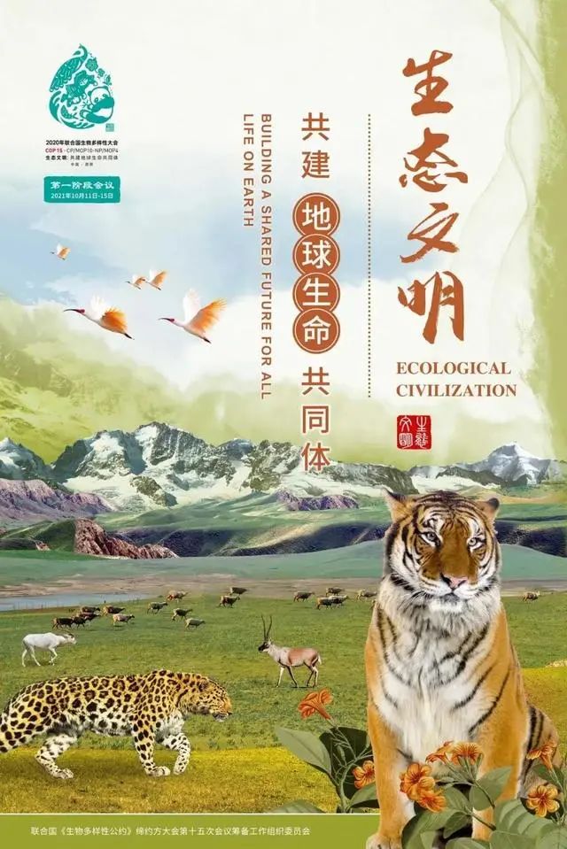 昆明铁路(微信)